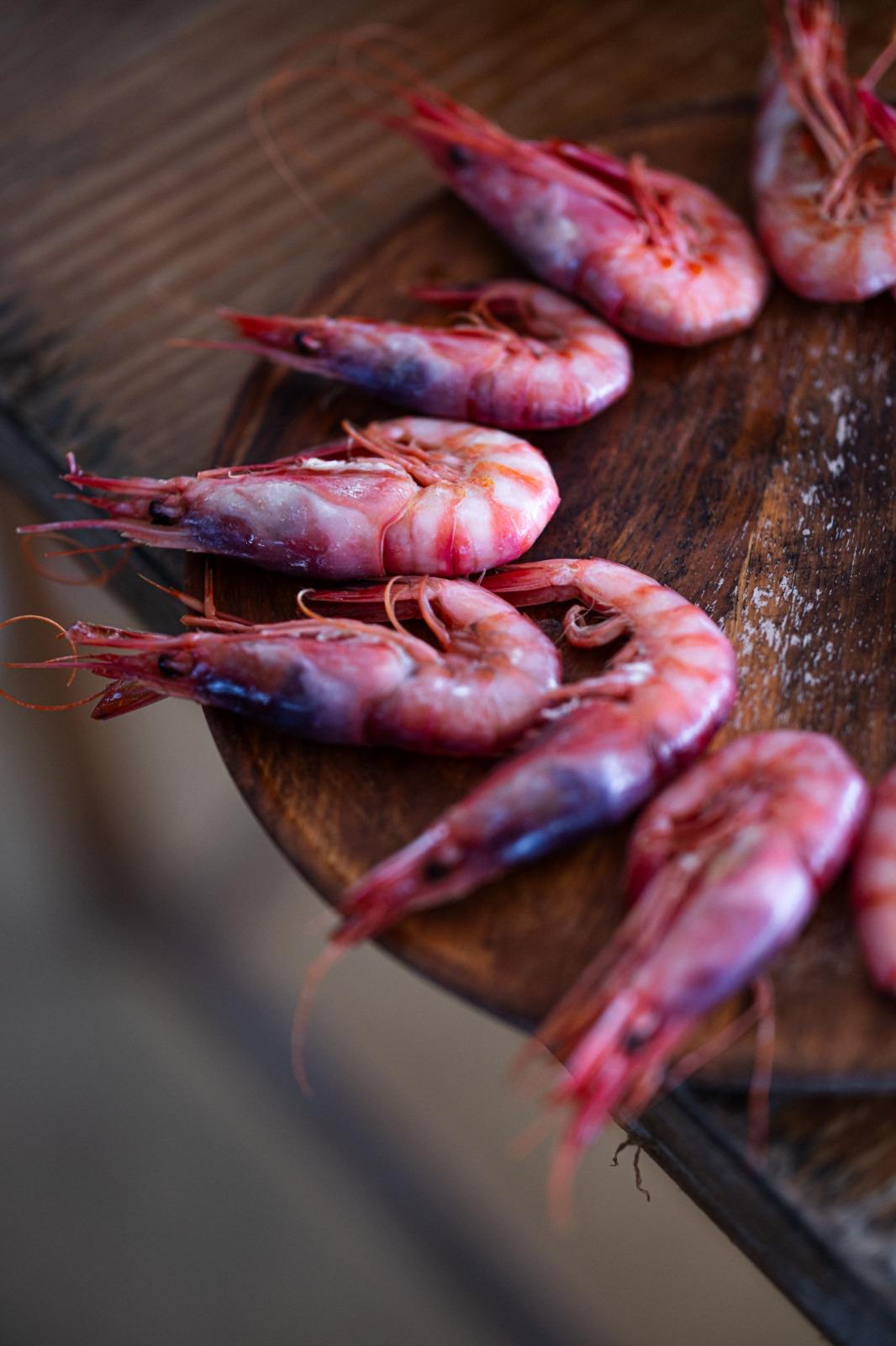 Gamba de la Costa Brava